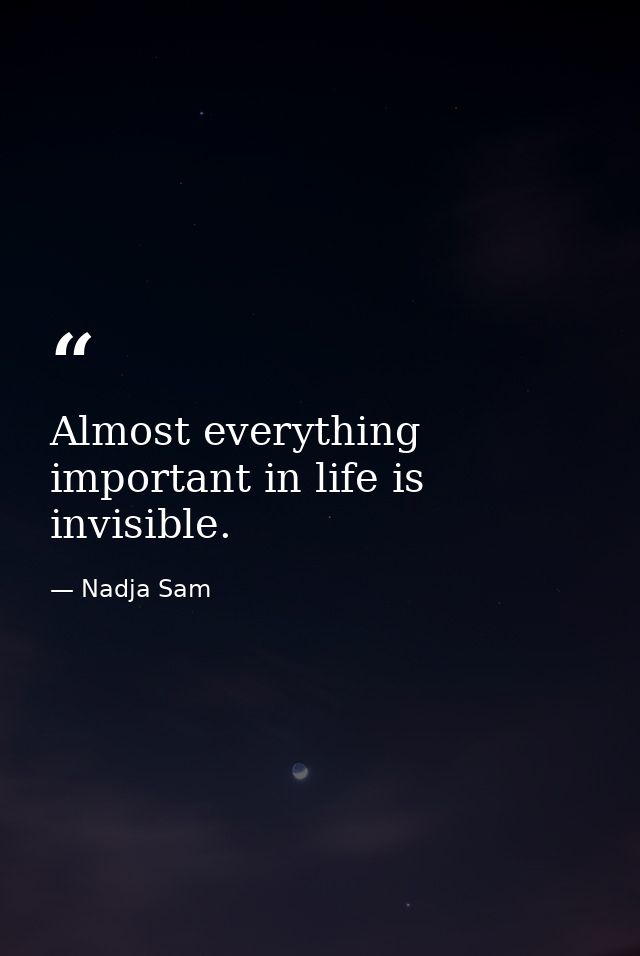 Almost everything important in life is invisible. — Nadja Sam