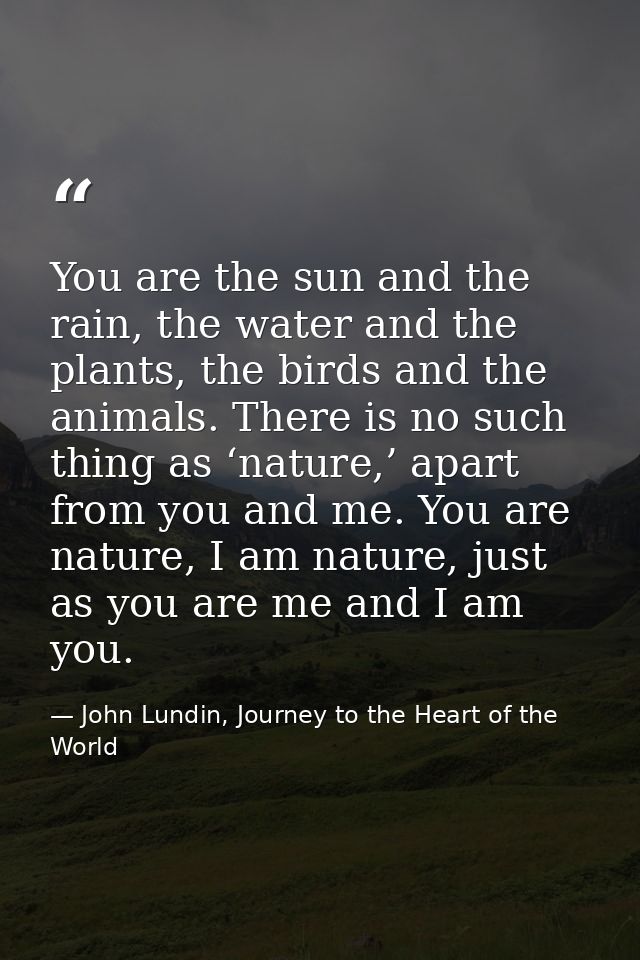 You are the sun and the rain, the water and the plants, the birds and the animals. There is no such thing as ‘nature,’ a — John Lundin, Journey to the Heart of the World