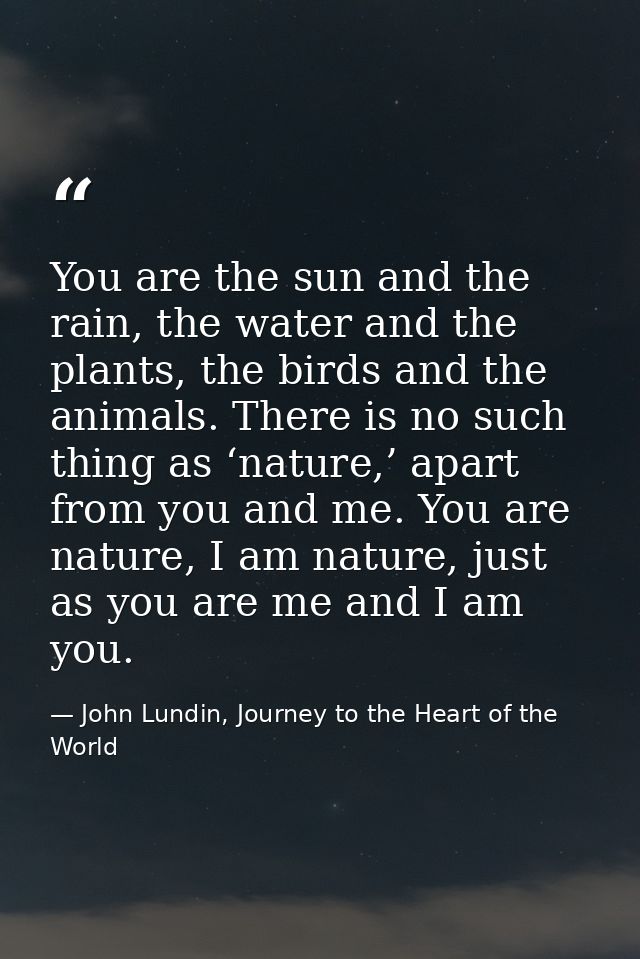 You are the sun and the rain, the water and the plants, the birds and the animals. There is no such thing as ‘nature,’ a — John Lundin, Journey to the Heart of the World