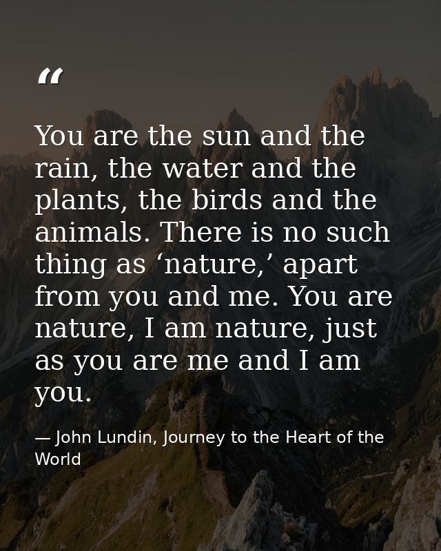 You are the sun and the rain, the water and the plants, the birds and the animals. There is no such thing as ‘nature,’ a — John Lundin, Journey to the Heart of the World