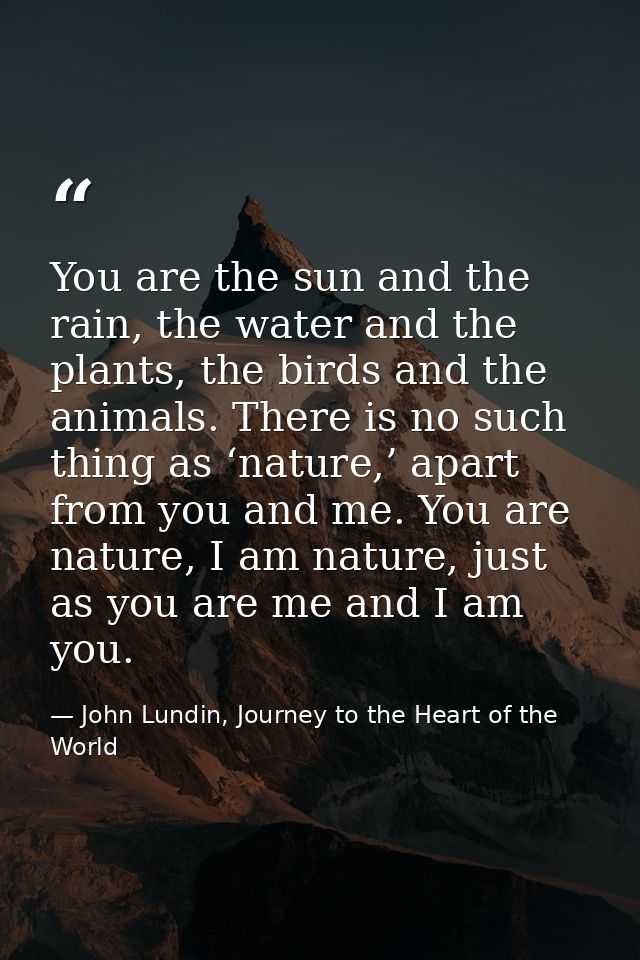 You are the sun and the rain, the water and the plants, the birds and the animals. There is no such thing as ‘nature,’ a — John Lundin, Journey to the Heart of the World