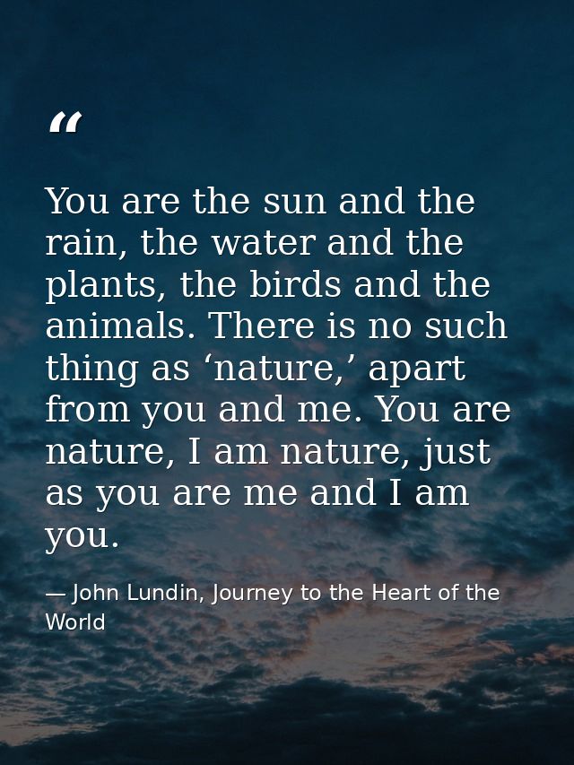 You are the sun and the rain, the water and the plants, the birds and the animals. There is no such thing as ‘nature,’ a — John Lundin, Journey to the Heart of the World