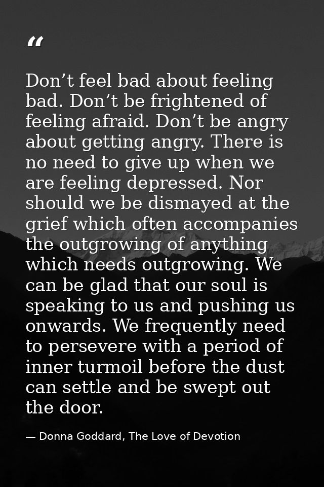 Don’t feel bad about feeling bad. Don’t be frightened of feeling afraid. Don’t be angry about getting angry. There is no — Donna Goddard, The Love of Devotion