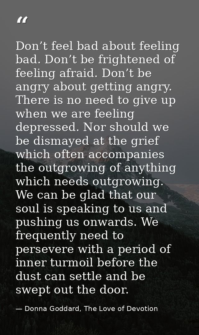 Don’t feel bad about feeling bad. Don’t be frightened of feeling afraid. Don’t be angry about getting angry. There is no — Donna Goddard, The Love of Devotion