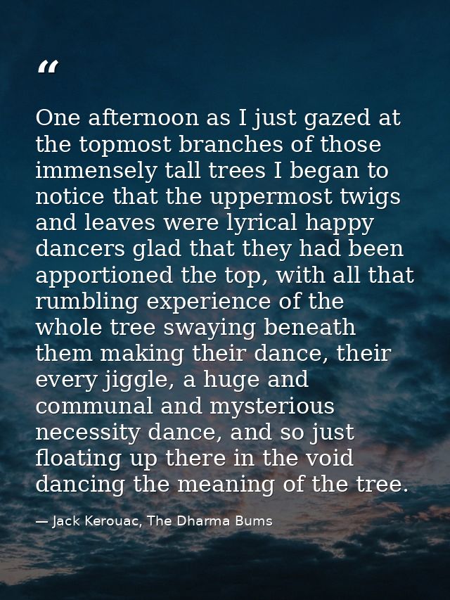 One afternoon as I just gazed at the topmost branches of those immensely tall trees I began to notice that the uppermost — Jack Kerouac, The Dharma Bums