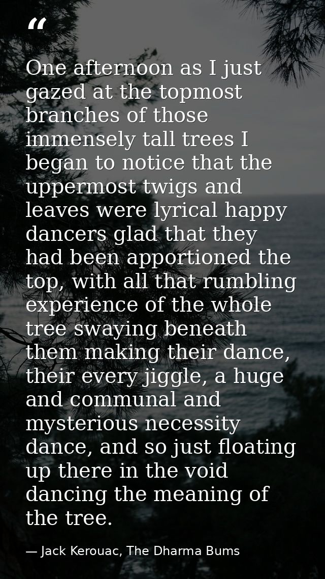 One afternoon as I just gazed at the topmost branches of those immensely tall trees I began to notice that the uppermost — Jack Kerouac, The Dharma Bums