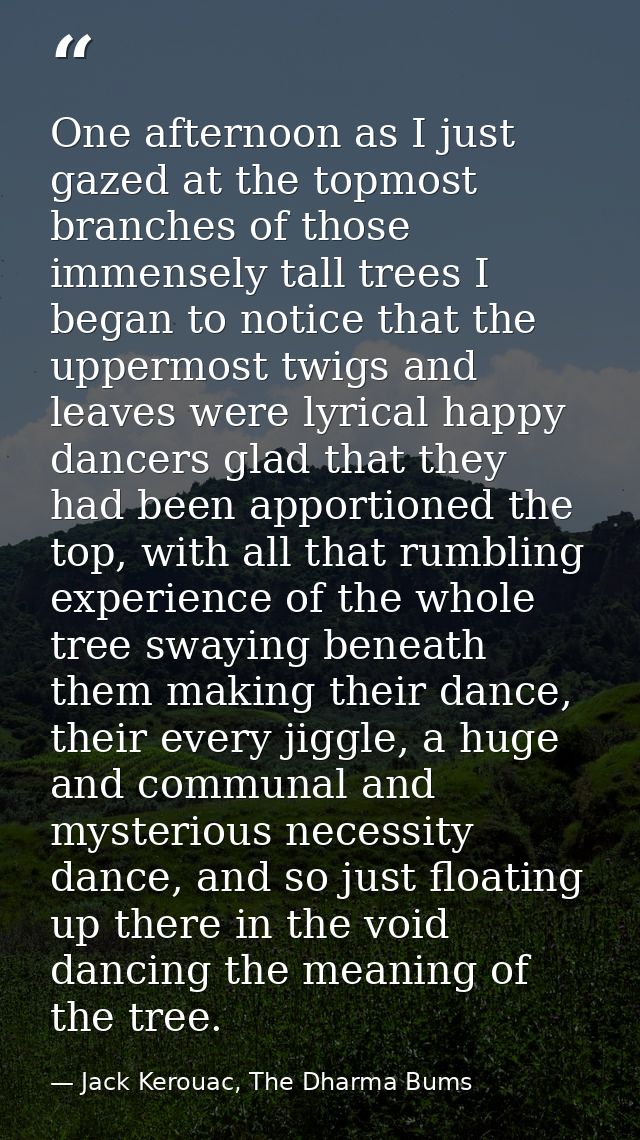 One afternoon as I just gazed at the topmost branches of those immensely tall trees I began to notice that the uppermost — Jack Kerouac, The Dharma Bums