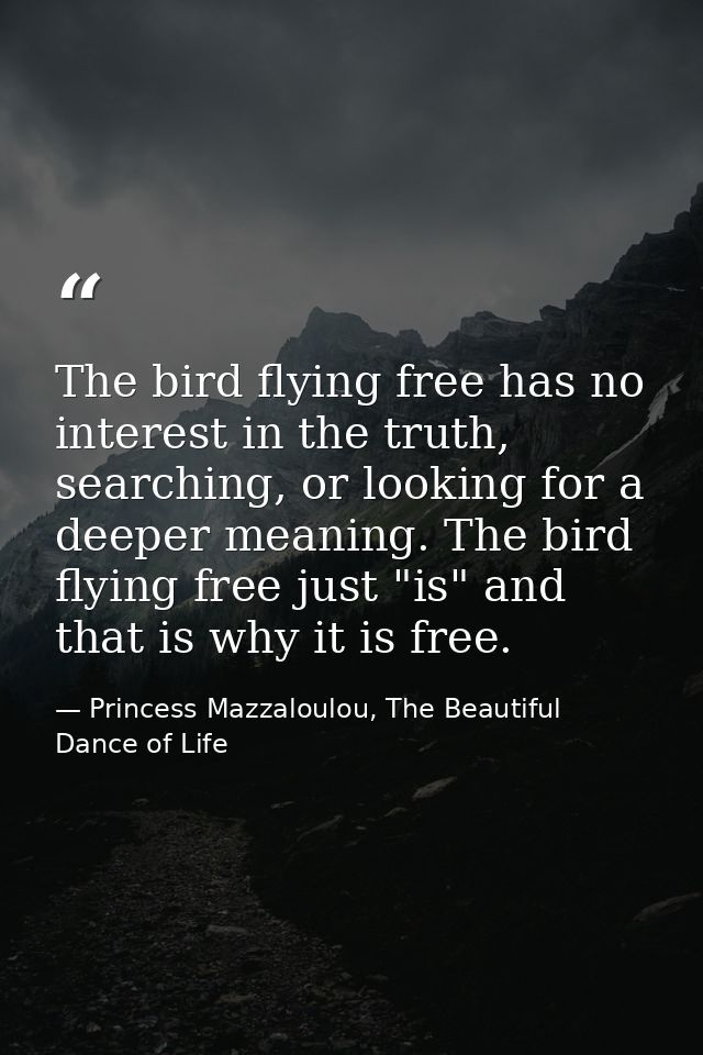 The bird flying free has no interest in the truth, searching, or looking for a deeper meaning. The bird flying free just — Princess Mazzaloulou, The Beautiful Dance of Life