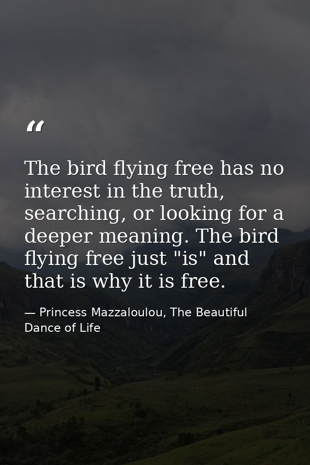 The bird flying free has no interest in the truth, searching, or looking for a deeper meaning. The bird flying free just — Princess Mazzaloulou, The Beautiful Dance of Life