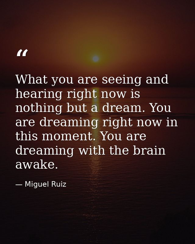 What you are seeing and hearing right now is nothing but a dream. You are dreaming right now in this moment. You are dre — Miguel Ruiz