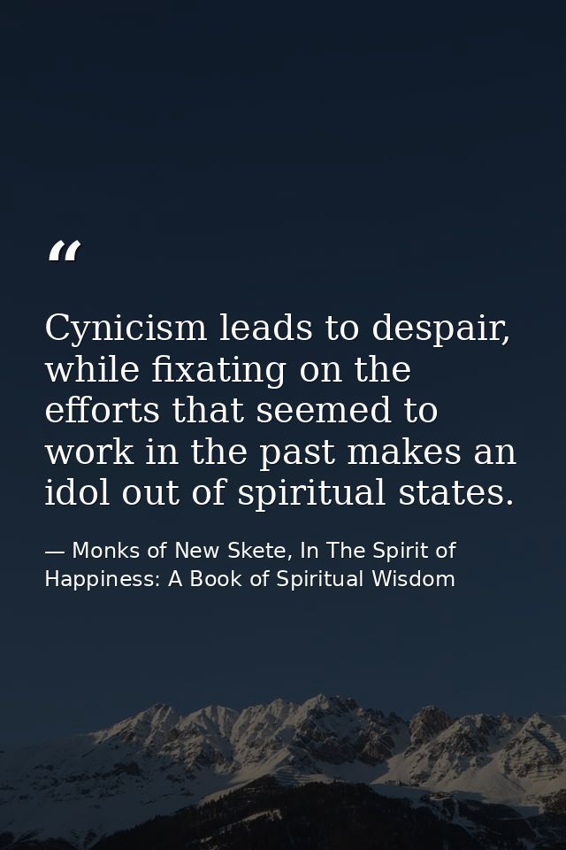Cynicism leads to despair, while fixating on the efforts that seemed to work in the past makes an idol out of spiritual  — Monks of New Skete, In The Spirit of Happiness: A Book of Spiritual Wisdom