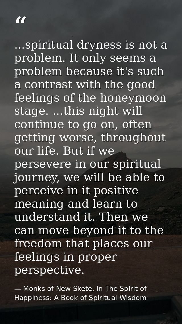 ...spiritual dryness is not a problem. It only seems a problem because it's such a contrast with the good feelings of th — Monks of New Skete, In The Spirit of Happiness: A Book of Spiritual Wisdom
