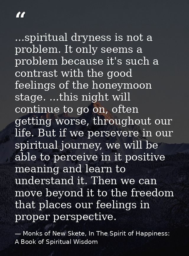 ...spiritual dryness is not a problem. It only seems a problem because it's such a contrast with the good feelings of th — Monks of New Skete, In The Spirit of Happiness: A Book of Spiritual Wisdom
