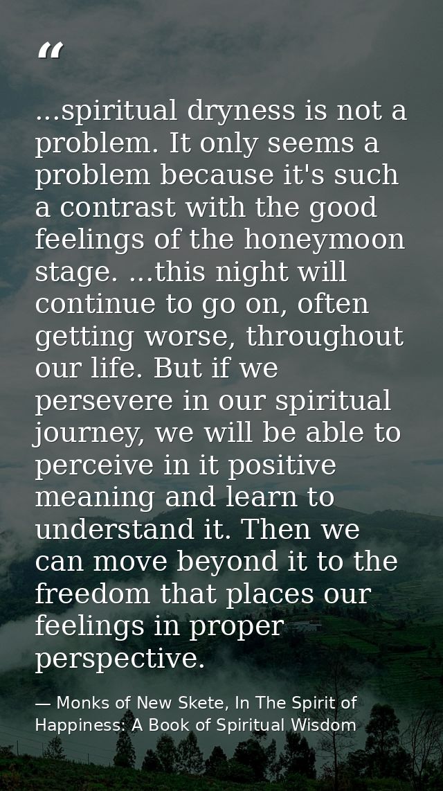 ...spiritual dryness is not a problem. It only seems a problem because it's such a contrast with the good feelings of th — Monks of New Skete, In The Spirit of Happiness: A Book of Spiritual Wisdom