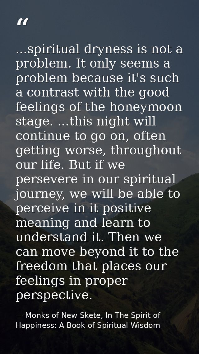 ...spiritual dryness is not a problem. It only seems a problem because it's such a contrast with the good feelings of th — Monks of New Skete, In The Spirit of Happiness: A Book of Spiritual Wisdom