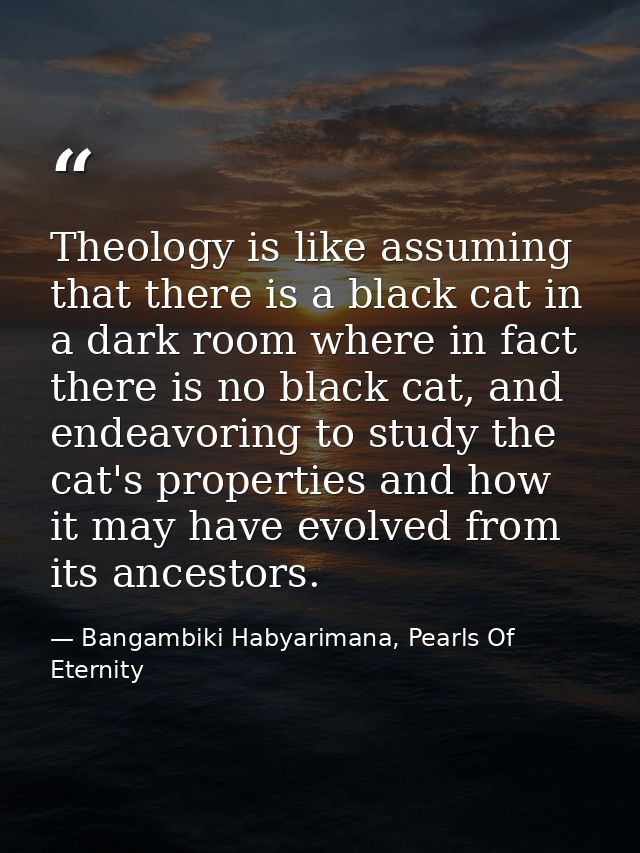 Theology is like assuming that there is a black cat in a dark room where in fact there is no black cat, and endeavoring  — Bangambiki Habyarimana, Pearls Of Eternity