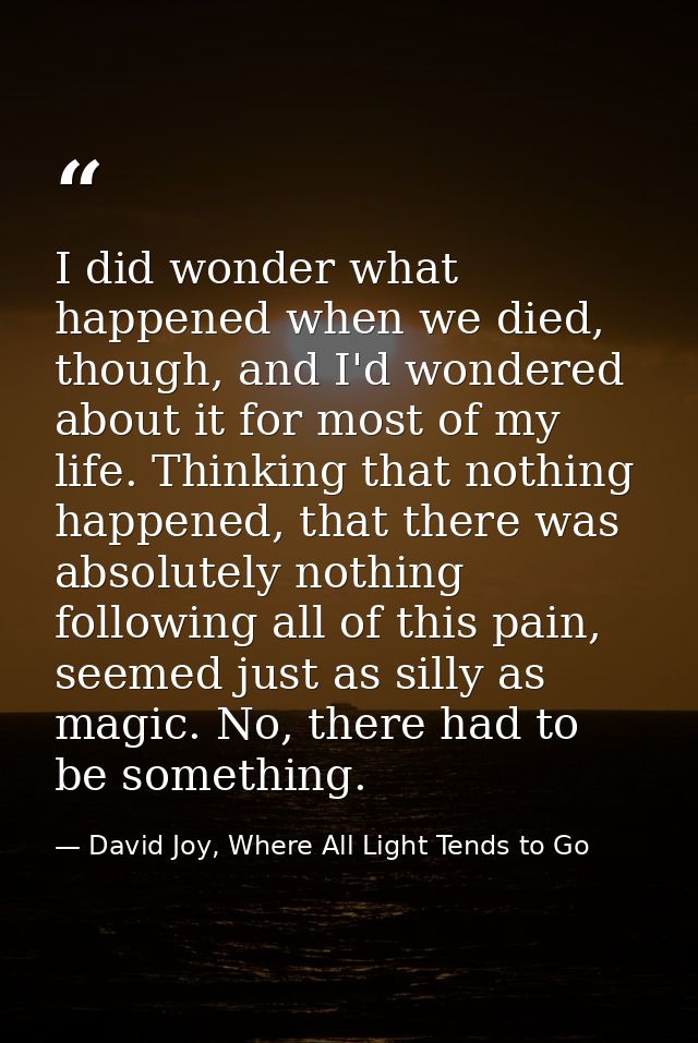 I did wonder what happened when we died, though, and I'd wondered about it for most of my life. Thinking that nothing ha — David Joy, Where All Light Tends to Go