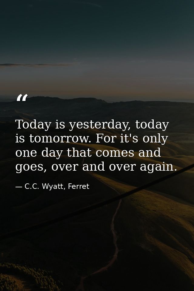 Today is yesterday, today is tomorrow. For it's only one day that comes and goes, over and over again. — C.C. Wyatt, Ferret