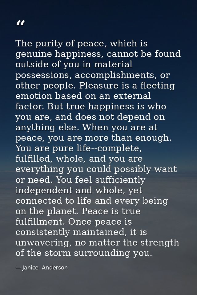 The purity of peace, which is genuine happiness, cannot be found outside of you in material possessions, accomplishments — Janice  Anderson