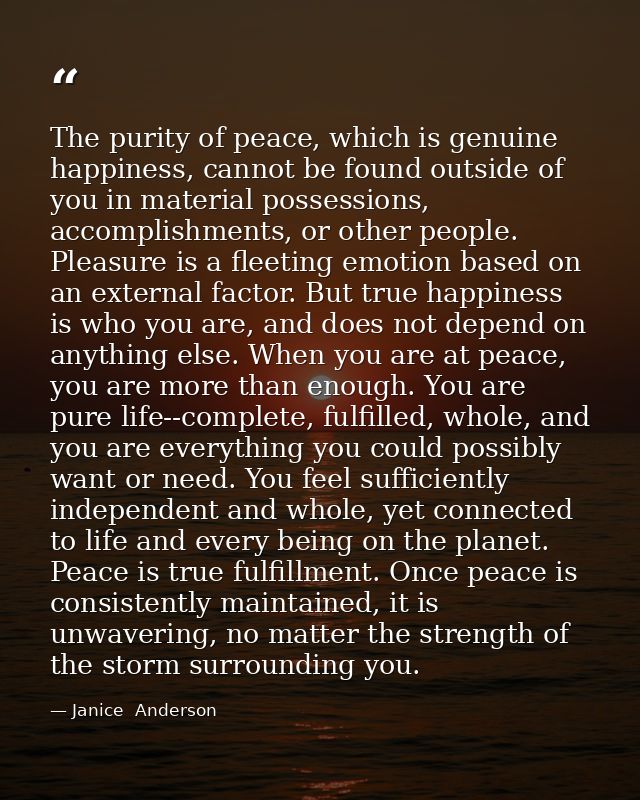 The purity of peace, which is genuine happiness, cannot be found outside of you in material possessions, accomplishments — Janice  Anderson