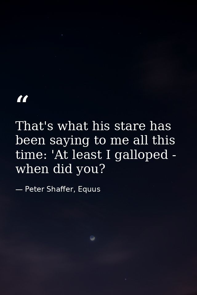 That's what his stare has been saying to me all this time: 'At least I galloped - when did you? — Peter Shaffer, Equus