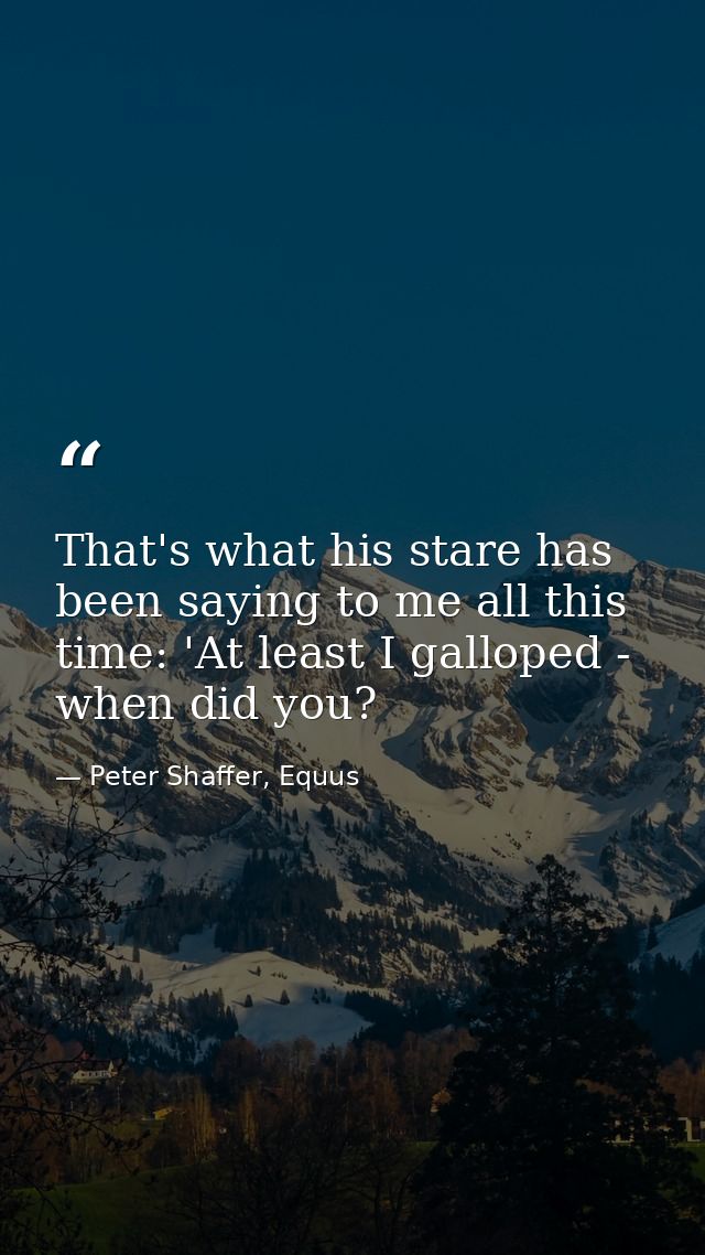 That's what his stare has been saying to me all this time: 'At least I galloped - when did you? — Peter Shaffer, Equus