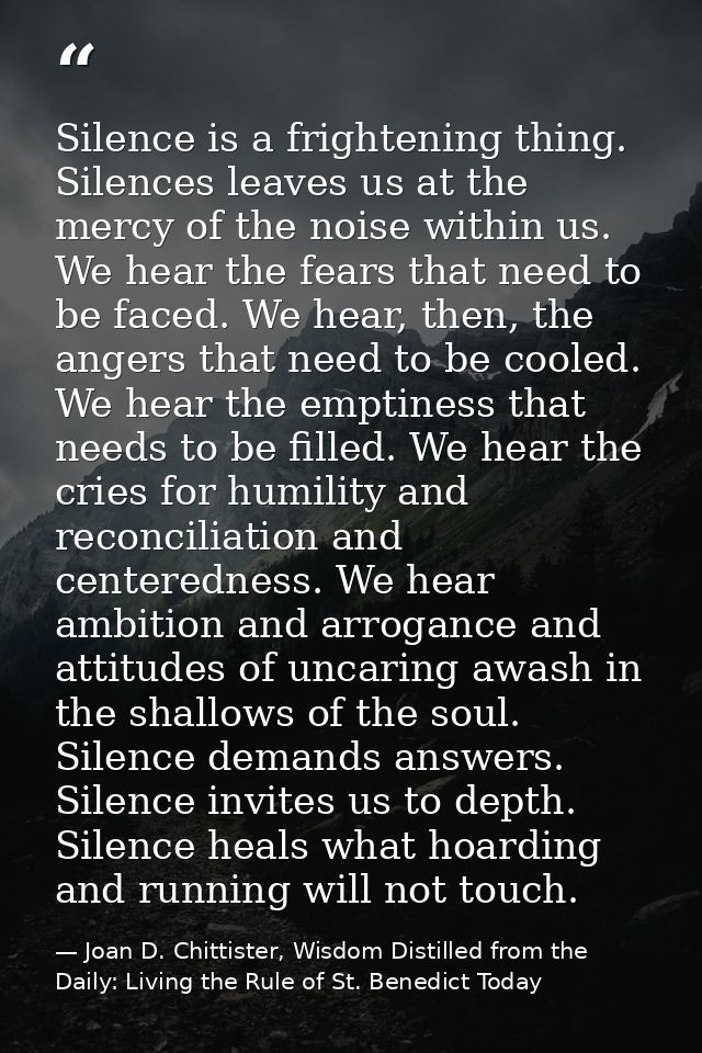 Silence is a frightening thing. Silences leaves us at the mercy of the noise within us. We hear the fears that need to b — Joan D. Chittister, Wisdom Distilled from the Daily: Living the Rule of St. Benedict Today