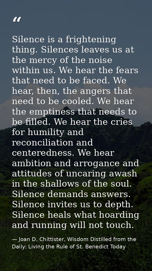 Silence is a frightening thing. Silences leaves us at the mercy of the noise within us. We hear the fears that need to b — Joan D. Chittister, Wisdom Distilled from the Daily: Living the Rule of St. Benedict Today