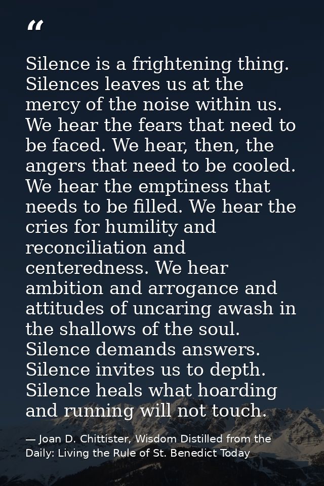 Silence is a frightening thing. Silences leaves us at the mercy of the noise within us. We hear the fears that need to b — Joan D. Chittister, Wisdom Distilled from the Daily: Living the Rule of St. Benedict Today