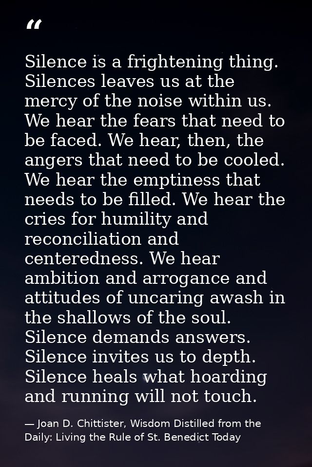 Silence is a frightening thing. Silences leaves us at the mercy of the noise within us. We hear the fears that need to b — Joan D. Chittister, Wisdom Distilled from the Daily: Living the Rule of St. Benedict Today