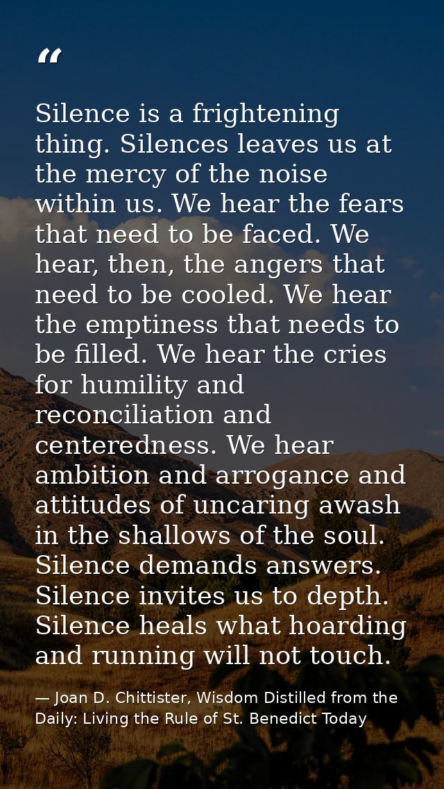 Silence is a frightening thing. Silences leaves us at the mercy of the noise within us. We hear the fears that need to b — Joan D. Chittister, Wisdom Distilled from the Daily: Living the Rule of St. Benedict Today
