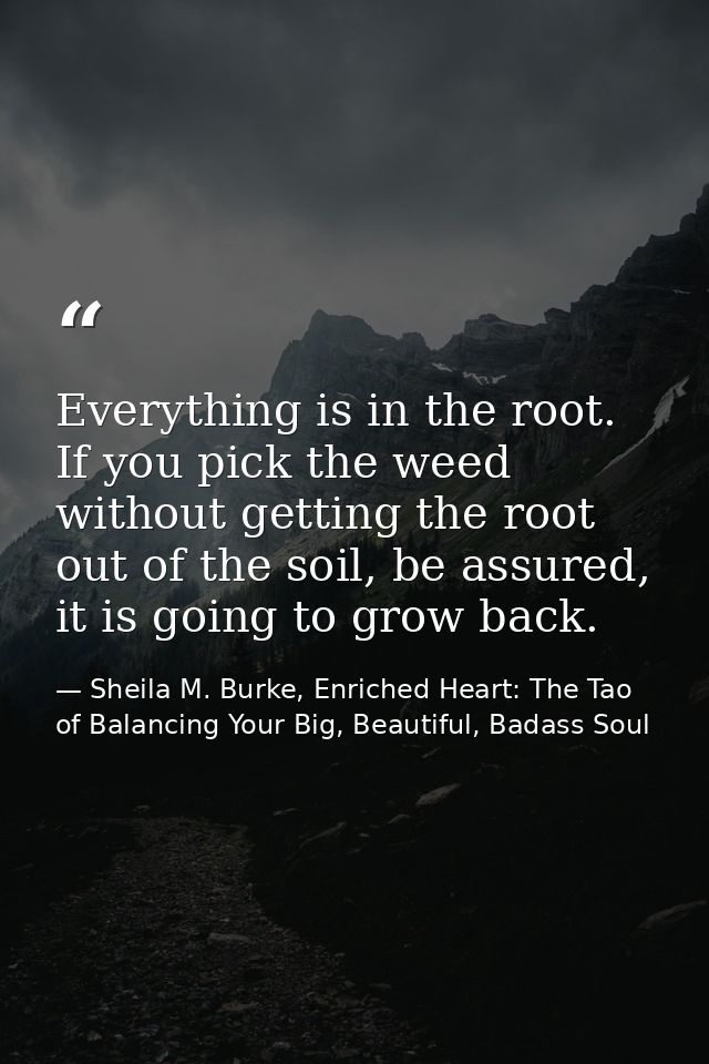 Everything is in the root. If you pick the weed without getting the root out of the soil, be assured, it is going to gro — Sheila M. Burke, Enriched Heart: The Tao of Balancing Your Big, Beautiful, Badass Soul
