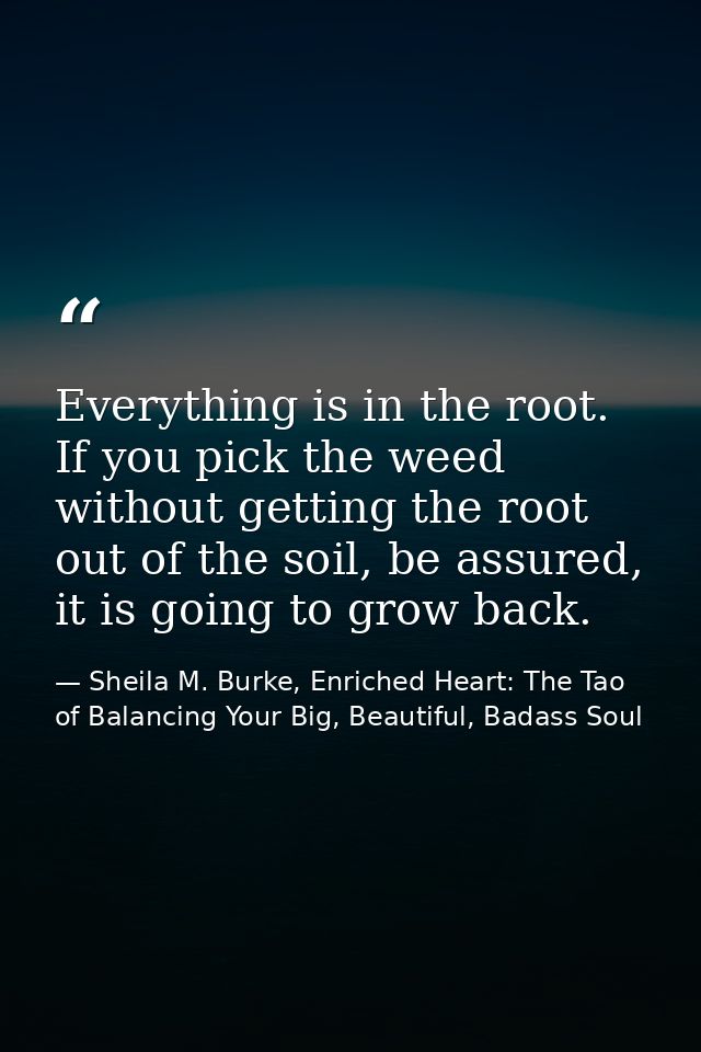 Everything is in the root. If you pick the weed without getting the root out of the soil, be assured, it is going to gro — Sheila M. Burke, Enriched Heart: The Tao of Balancing Your Big, Beautiful, Badass Soul