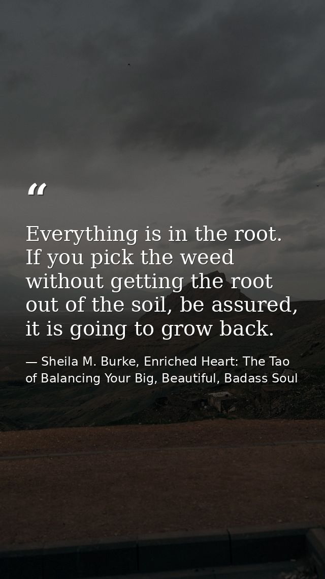 Everything is in the root. If you pick the weed without getting the root out of the soil, be assured, it is going to gro — Sheila M. Burke, Enriched Heart: The Tao of Balancing Your Big, Beautiful, Badass Soul