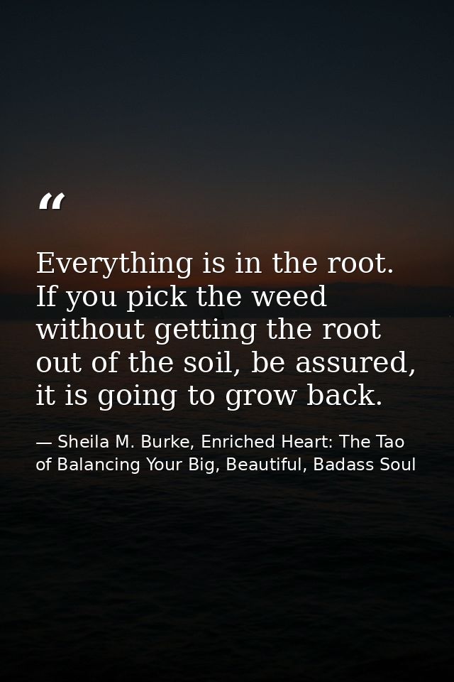 Everything is in the root. If you pick the weed without getting the root out of the soil, be assured, it is going to gro — Sheila M. Burke, Enriched Heart: The Tao of Balancing Your Big, Beautiful, Badass Soul