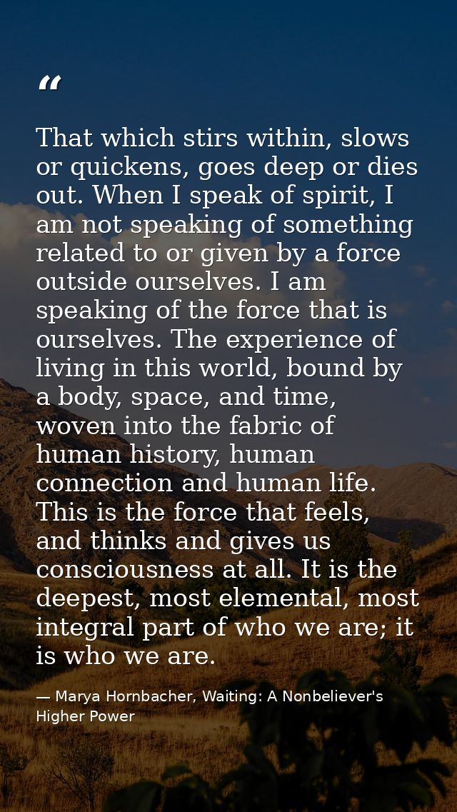 That which stirs within, slows or quickens, goes deep or dies out. When I speak of spirit, I am not speaking of somethin — Marya Hornbacher, Waiting: A Nonbeliever's Higher Power
