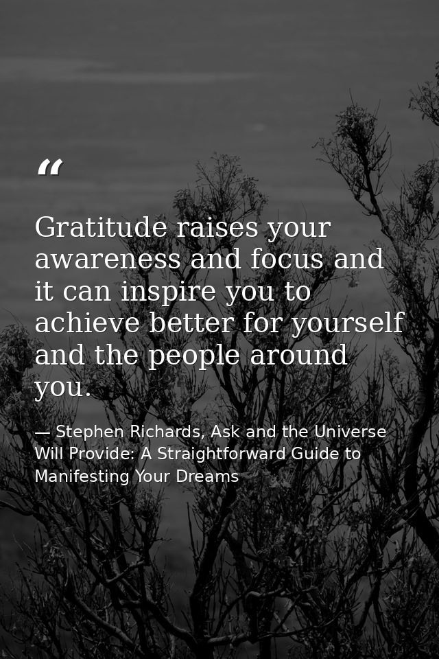 Gratitude raises your awareness and focus and it can inspire you to achieve better for yourself and the people around yo — Stephen Richards, Ask and the Universe Will Provide: A Straightforward Guide to Manifesting Your Dreams