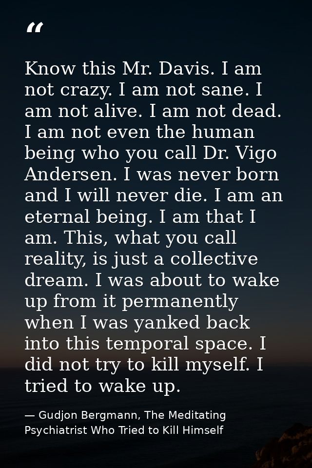 Know this Mr. Davis. I am not crazy. I am not sane. I am not alive. I am not dead. I am not even the human being who you — Gudjon Bergmann, The Meditating Psychiatrist Who Tried to Kill Himself