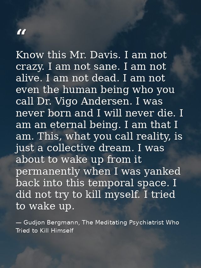 Know this Mr. Davis. I am not crazy. I am not sane. I am not alive. I am not dead. I am not even the human being who you — Gudjon Bergmann, The Meditating Psychiatrist Who Tried to Kill Himself
