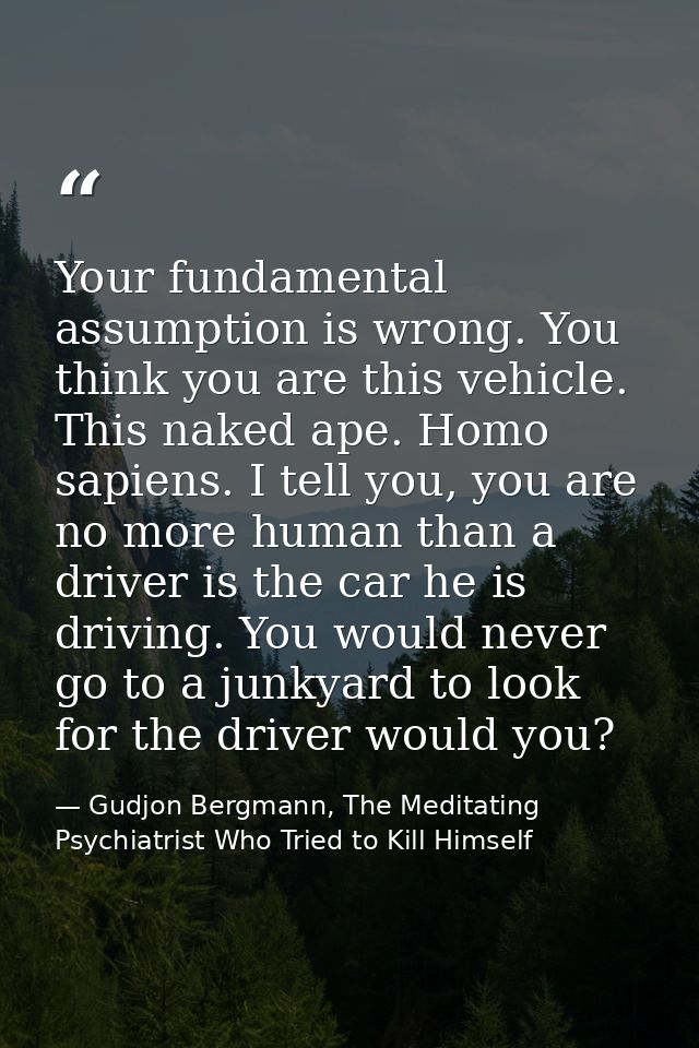 Your fundamental assumption is wrong. You think you are this vehicle. This naked ape. Homo sapiens. I tell you, you are  — Gudjon Bergmann, The Meditating Psychiatrist Who Tried to Kill Himself