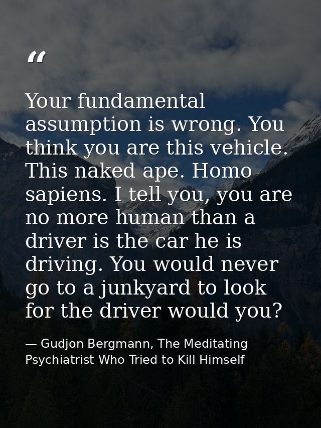 Your fundamental assumption is wrong. You think you are this vehicle. This naked ape. Homo sapiens. I tell you, you are  — Gudjon Bergmann, The Meditating Psychiatrist Who Tried to Kill Himself