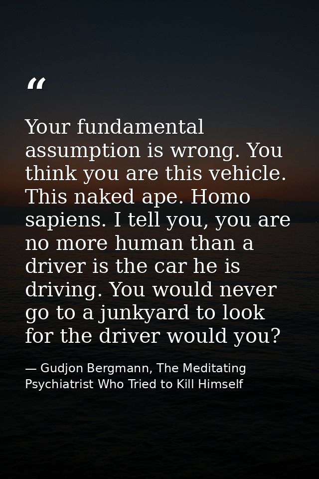 Your fundamental assumption is wrong. You think you are this vehicle. This naked ape. Homo sapiens. I tell you, you are  — Gudjon Bergmann, The Meditating Psychiatrist Who Tried to Kill Himself