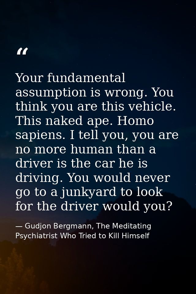 Your fundamental assumption is wrong. You think you are this vehicle. This naked ape. Homo sapiens. I tell you, you are  — Gudjon Bergmann, The Meditating Psychiatrist Who Tried to Kill Himself