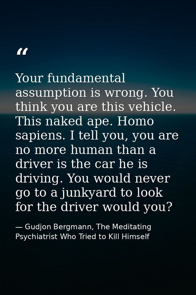 Your fundamental assumption is wrong. You think you are this vehicle. This naked ape. Homo sapiens. I tell you, you are  — Gudjon Bergmann, The Meditating Psychiatrist Who Tried to Kill Himself