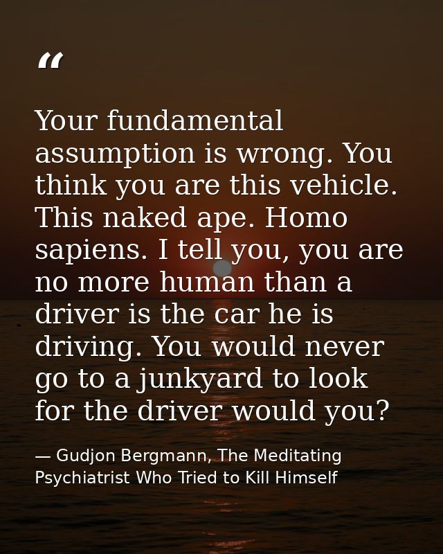 Your fundamental assumption is wrong. You think you are this vehicle. This naked ape. Homo sapiens. I tell you, you are  — Gudjon Bergmann, The Meditating Psychiatrist Who Tried to Kill Himself
