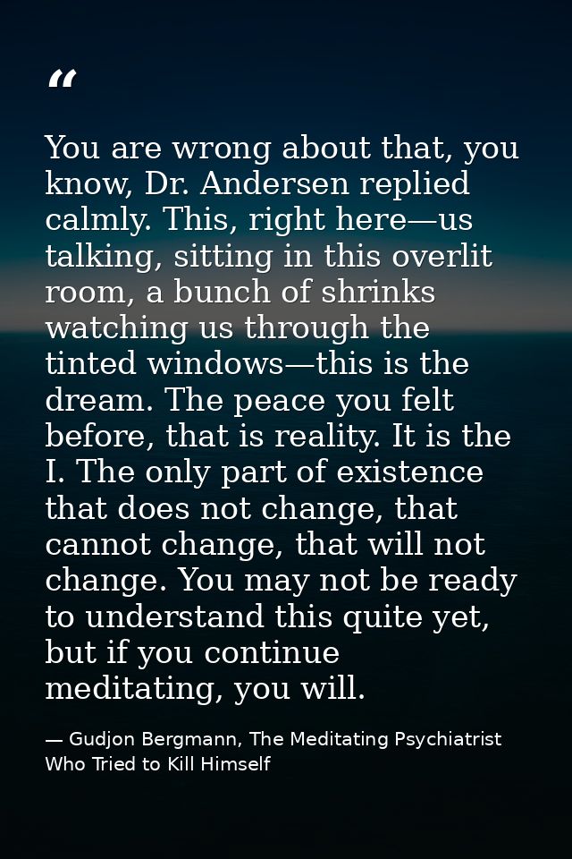 You are wrong about that, you know, Dr. Andersen replied calmly. This, right here—us talking, sitting in this overlit ro — Gudjon Bergmann, The Meditating Psychiatrist Who Tried to Kill Himself