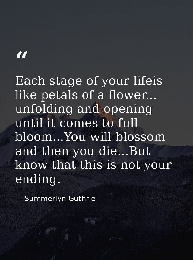 Each stage of your lifeis like petals of a flower... unfolding and opening until it comes to full bloom...You will bloss — Summerlyn Guthrie