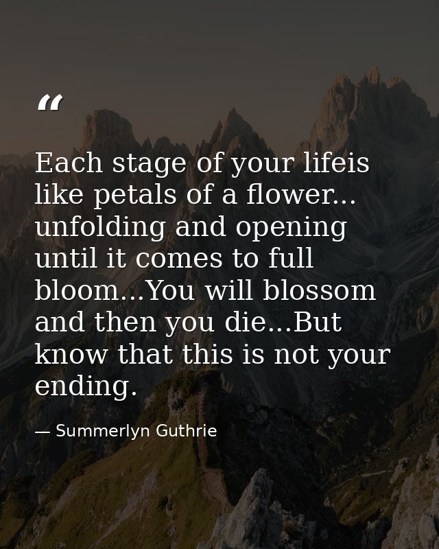 Each stage of your lifeis like petals of a flower... unfolding and opening until it comes to full bloom...You will bloss — Summerlyn Guthrie