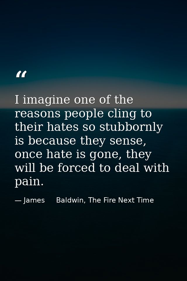I imagine one of the reasons people cling to their hates so stubbornly is because they sense, once hate is gone, they wi — James     Baldwin, The Fire Next Time