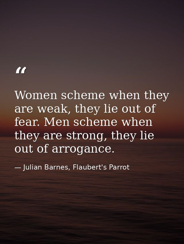 Women scheme when they are weak, they lie out of fear. Men scheme when they are strong, they lie out of arrogance. — Julian Barnes, Flaubert's Parrot